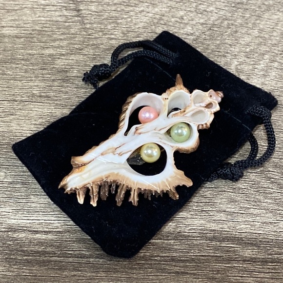 Seashell pin - Picture 1 of 3